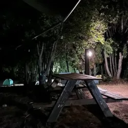 Complejo Turístico Bahía Rosales