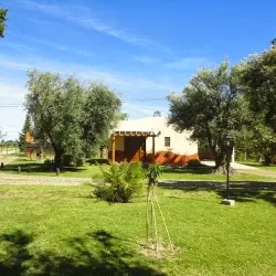 Negocio Cuyanas Del Sur