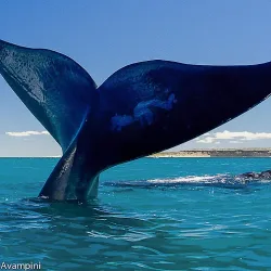 Negocio De Luna - Rooms And Apartment