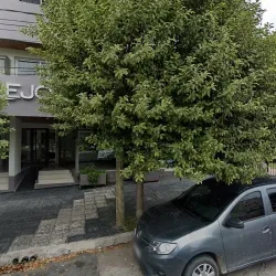 Negocio Departamento