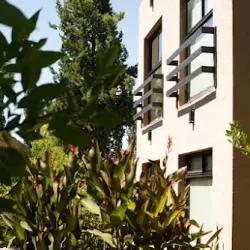 Negocio Departamento N, The Owl Lodge