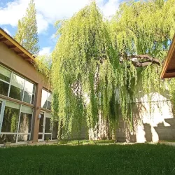 Negocio Departamentos Marien