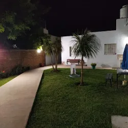 Negocio Departamentos Palmeras