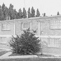 Negocio Departamentos Roca 2020