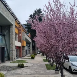 Negocio Depto Del Arroyo - Sma