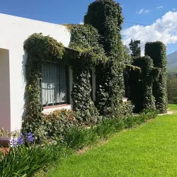 Negocio Descanso Perfecto Tafí Del Valle