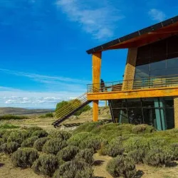 Negocio Design Suites Calafate