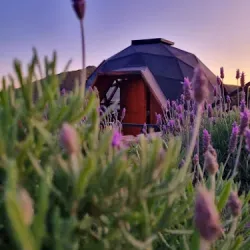 Negocio Domos Zen San Luis