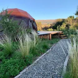 Negocio Eco Glamping El Galpon