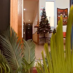 Negocio Eco Plaza Hotel