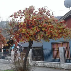 Negocio Edificio Roca Urbana