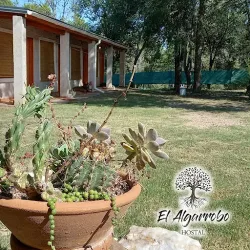 Negocio El Algarrobo