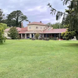 Negocio El Casco De Fangio