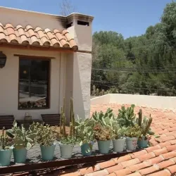 Negocio El Cortijo Hotel Boutique