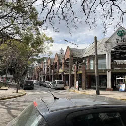 Negocio El Palomar Rosetti V