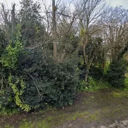 El Rancho De La Sierra