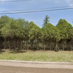 Negocio El Terreno De Simon