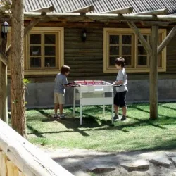 Negocio El Viejo Carretón