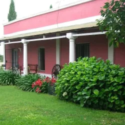 Negocio El Viejo Manzano