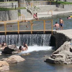 Negocio El Viejo Molino