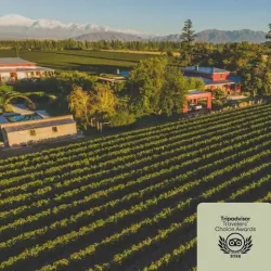 Negocio Enlace Wine House