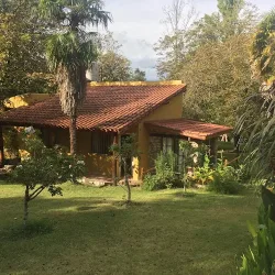 Negocio Entre Flores Los Hornillos