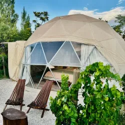 Negocio Entre Racimos