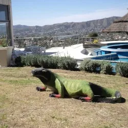 Negocio Ernestina Village