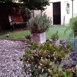 Negocio Espacio Ángeles S.n. Calma Y Bienestar