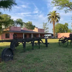 Negocio Establecimiento Don Elder