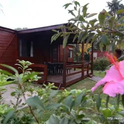 Negocio Estacion Cayasta