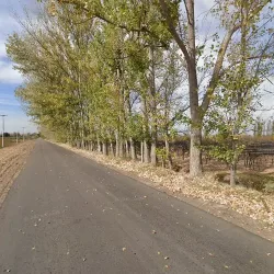 Negocio Estacion Versailles