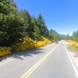 Negocio Estancia Chenqueniyen