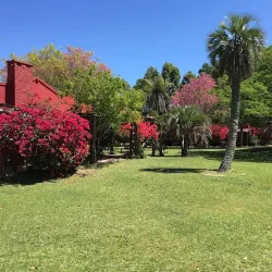 Negocio Estancia Don Joaquin