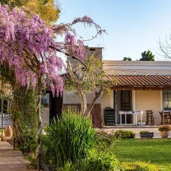 Negocio Estancia El Ombú De Areco