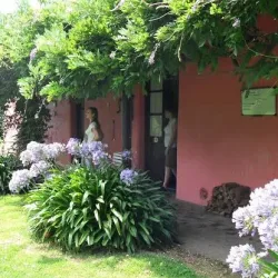 Negocio Estancia La Margarita