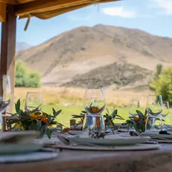 Negocio Estancia Los Chulengos