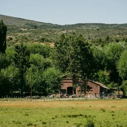 Negocio Estancia Quillén