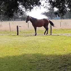 Negocio Estancia San Martin Polo Club & Family Resort