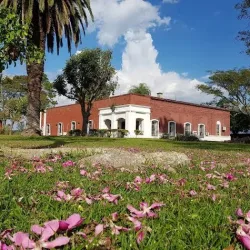 Negocio Estancia Yapeyú