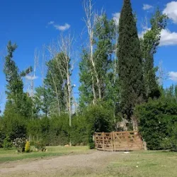 Negocio Finca Don Francisco