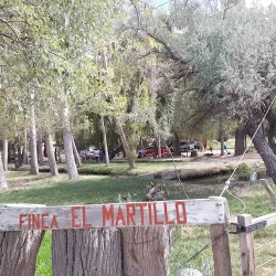 Negocio Finca El Martillo