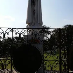 Negocio Finca La Delfina