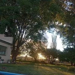 Negocio Finca La Norita