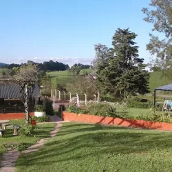 Negocio Flor De Loto