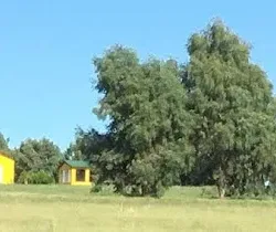 Negocio George Divine's Forest