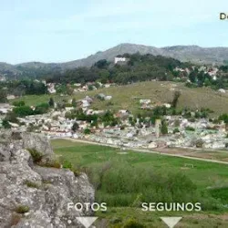 Negocio Girasoles Serranos