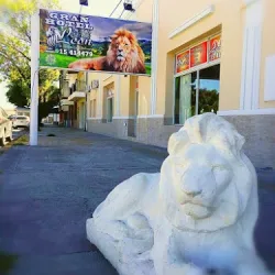 Negocio Gran Hotel Leon