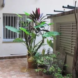 Negocio Gran Hotel Libertad