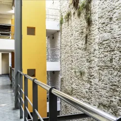 Negocio Granados Hostel